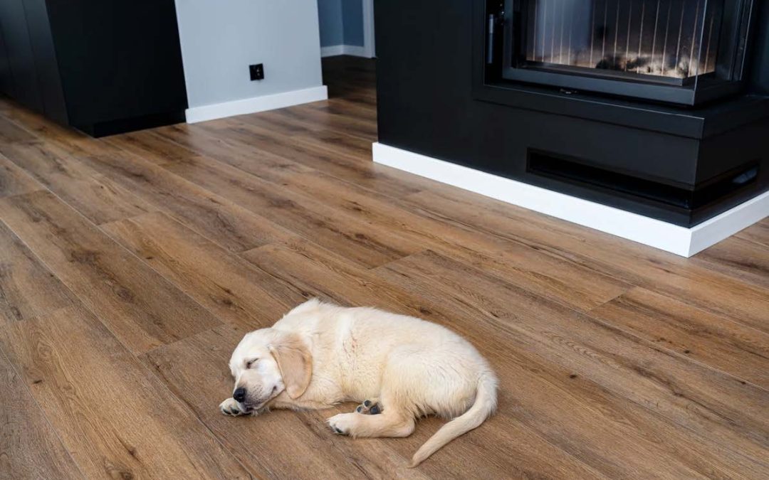 We Won’t Stop Until We’re The Flooring Kings of Michigan